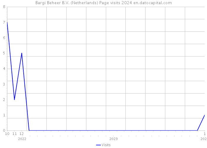 Bargi Beheer B.V. (Netherlands) Page visits 2024 