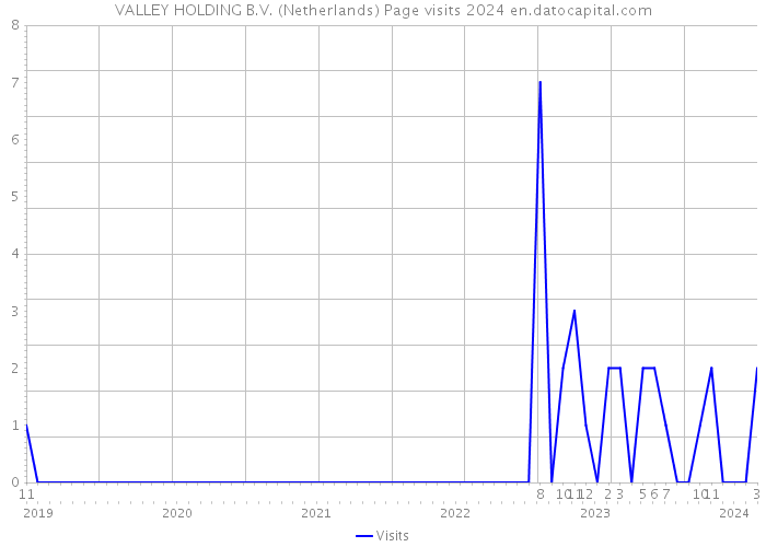 VALLEY HOLDING B.V. (Netherlands) Page visits 2024 
