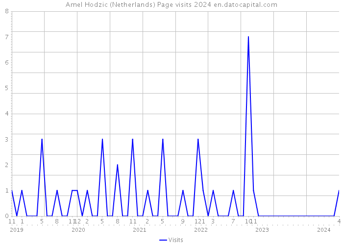 Amel Hodzic (Netherlands) Page visits 2024 