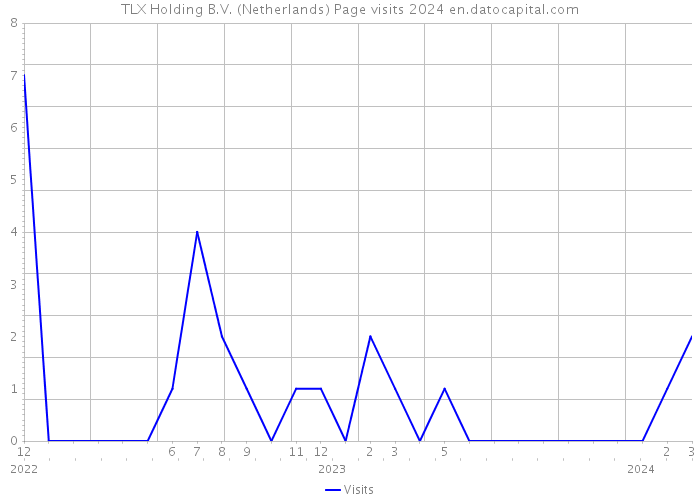 TLX Holding B.V. (Netherlands) Page visits 2024 