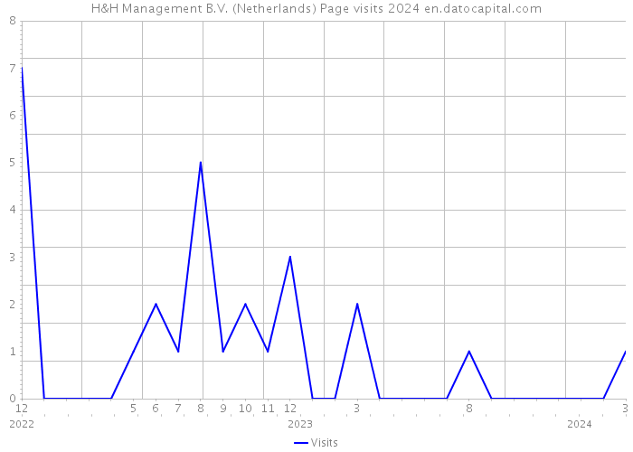 H&H Management B.V. (Netherlands) Page visits 2024 
