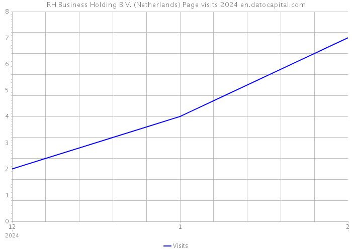 RH Business Holding B.V. (Netherlands) Page visits 2024 