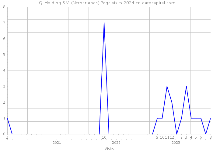 IQ+ Holding B.V. (Netherlands) Page visits 2024 