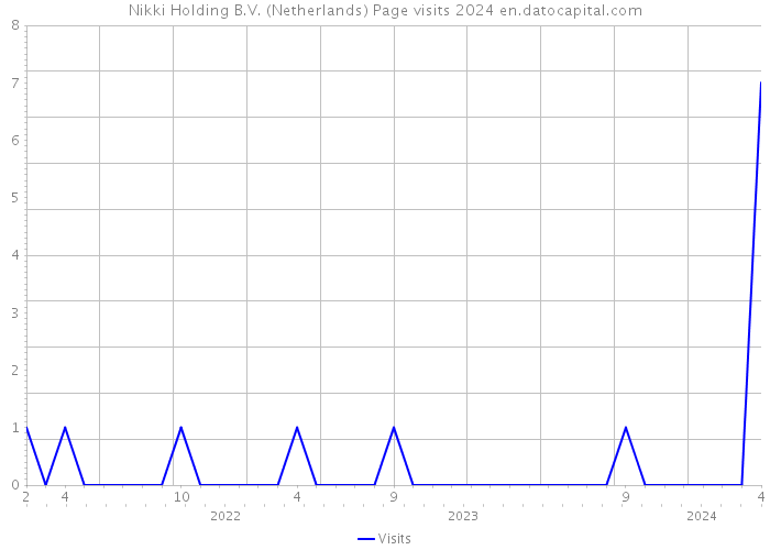 Nikki Holding B.V. (Netherlands) Page visits 2024 