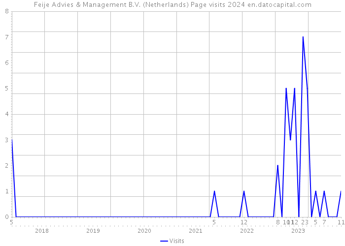 Feije Advies & Management B.V. (Netherlands) Page visits 2024 