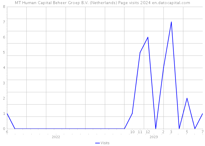 MT Human Capital Beheer Groep B.V. (Netherlands) Page visits 2024 