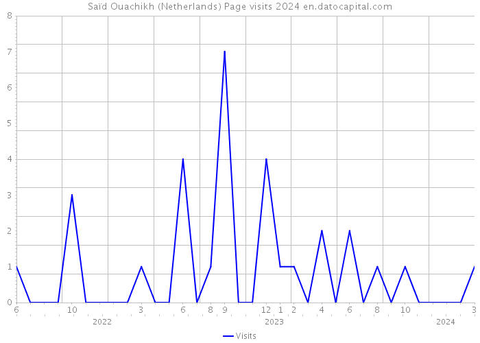 Saïd Ouachikh (Netherlands) Page visits 2024 