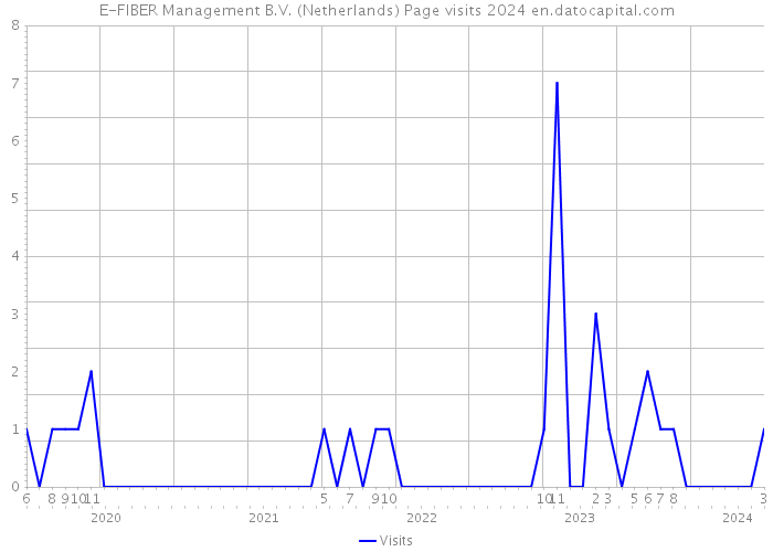 E-FIBER Management B.V. (Netherlands) Page visits 2024 