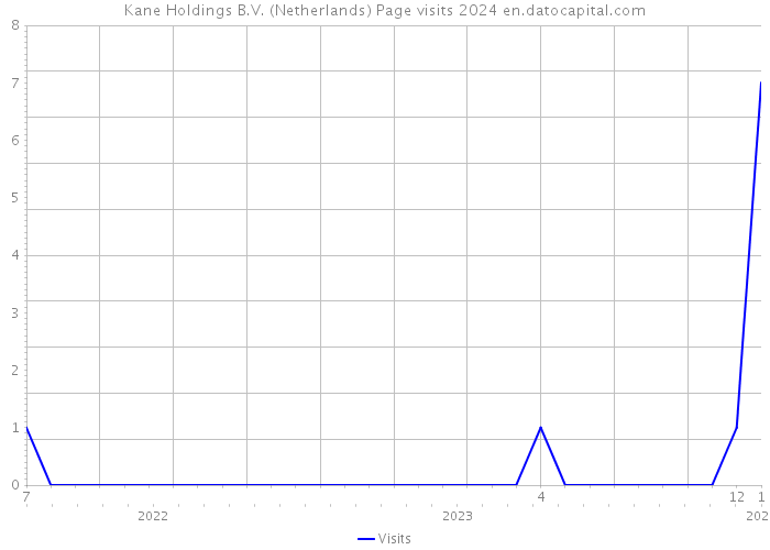 Kane Holdings B.V. (Netherlands) Page visits 2024 