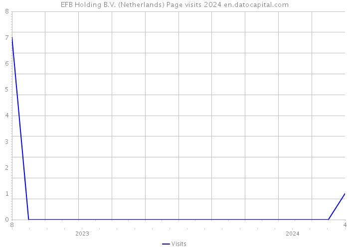 EFB Holding B.V. (Netherlands) Page visits 2024 