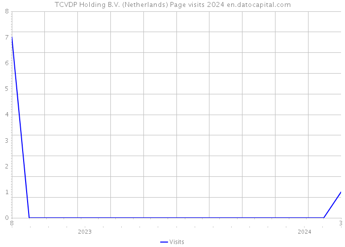 TCVDP Holding B.V. (Netherlands) Page visits 2024 