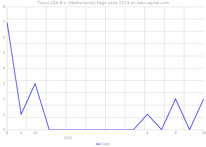Tsuru USA B.V. (Netherlands) Page visits 2024 