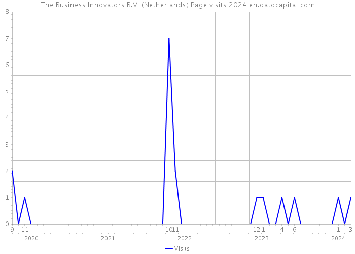 The Business Innovators B.V. (Netherlands) Page visits 2024 