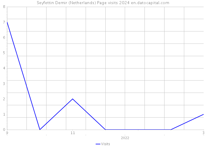 Seyfettin Demir (Netherlands) Page visits 2024 