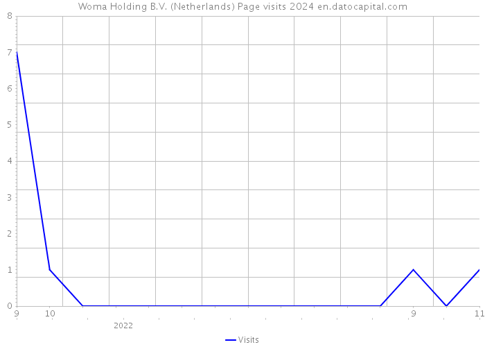 Woma Holding B.V. (Netherlands) Page visits 2024 