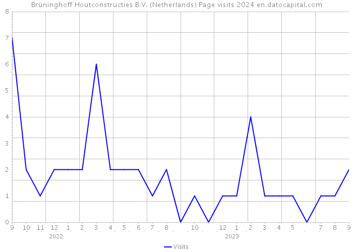 Brüninghoff Houtconstructies B.V. (Netherlands) Page visits 2024 