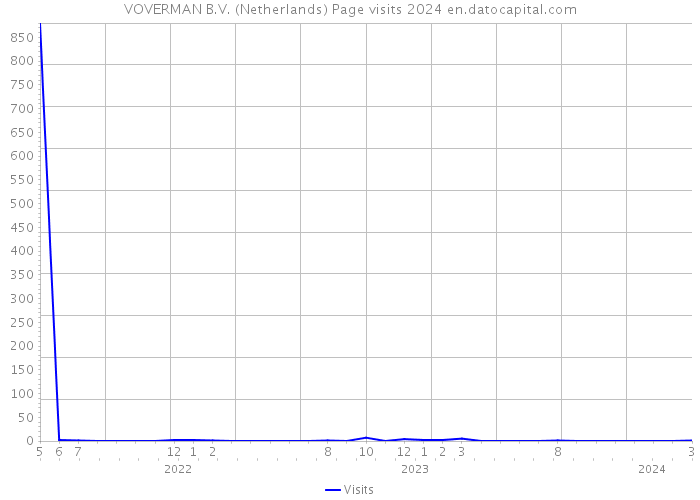 VOVERMAN B.V. (Netherlands) Page visits 2024 