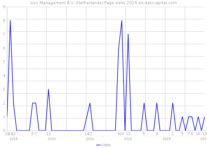 Liso Management B.V. (Netherlands) Page visits 2024 