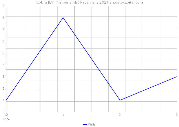Cobra B.V. (Netherlands) Page visits 2024 