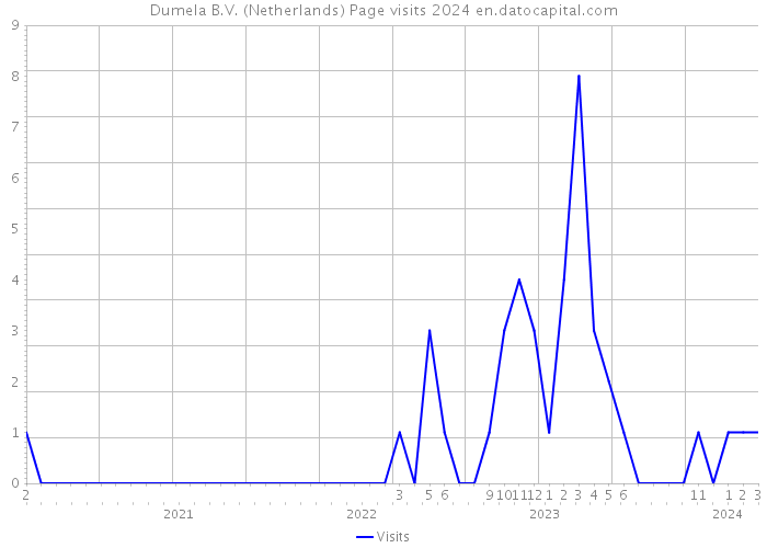 Dumela B.V. (Netherlands) Page visits 2024 