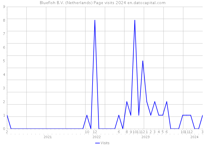 Bluefish B.V. (Netherlands) Page visits 2024 