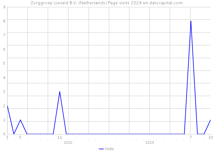 Zorggroep Lieveld B.V. (Netherlands) Page visits 2024 