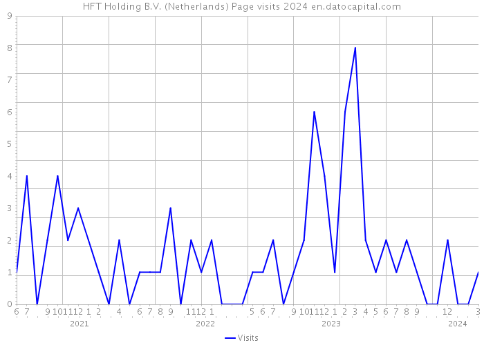 HFT Holding B.V. (Netherlands) Page visits 2024 