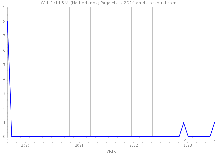 Widefield B.V. (Netherlands) Page visits 2024 