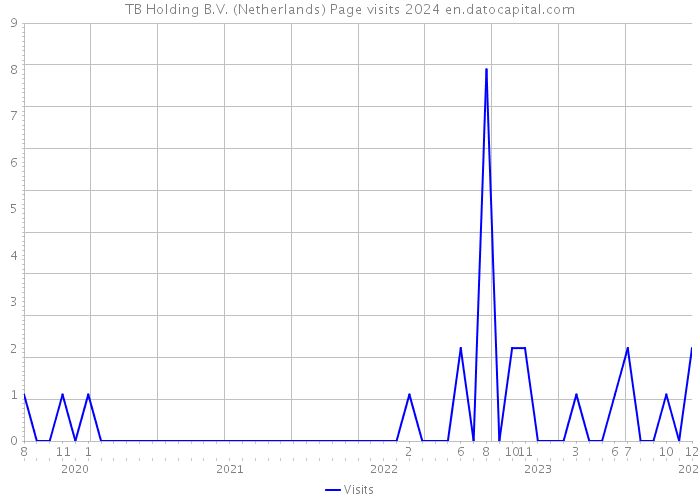TB Holding B.V. (Netherlands) Page visits 2024 