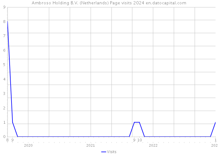 Ambroso Holding B.V. (Netherlands) Page visits 2024 