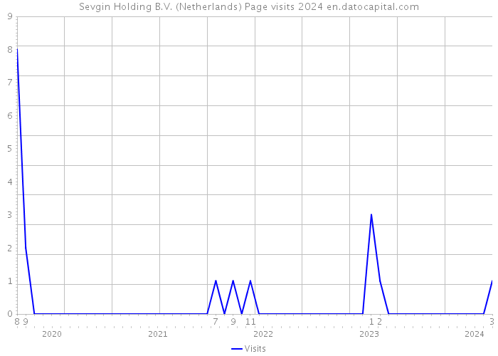 Sevgin Holding B.V. (Netherlands) Page visits 2024 