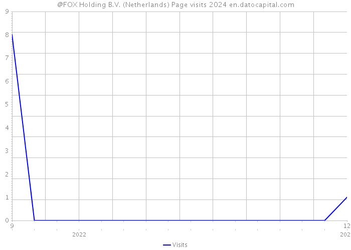 @FOX Holding B.V. (Netherlands) Page visits 2024 